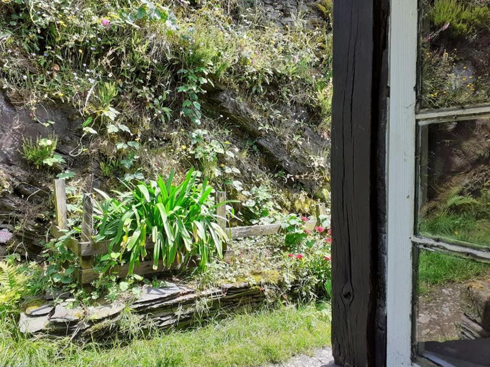 Albergue Escanlar Lugo Εξωτερικό φωτογραφία